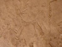 Petroglyph near Big Cave
